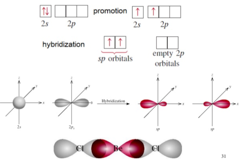 Hybridisation - Chemical Bonding - Physical Chemistry - Chemistry - LOGiota