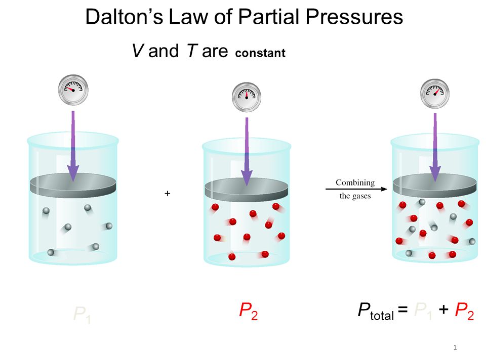 Dalton #39 s Law Of Partial Pressures Graph